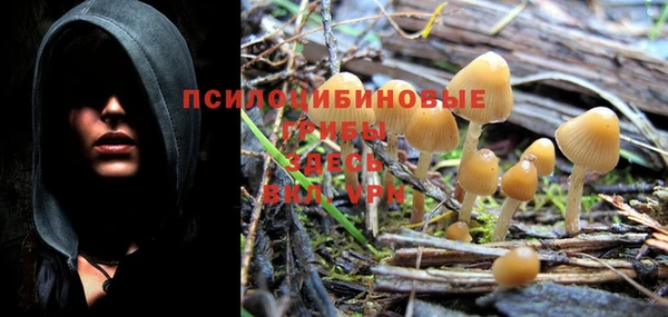 дживик Абинск