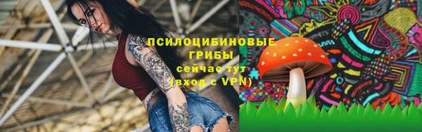 дживик Абинск